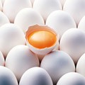 кроссворды фото к слову яйца